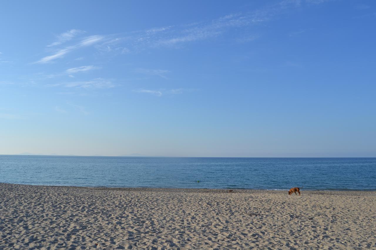 Miramare Struttura Sulla Spiaggia Platamona Bagian luar foto